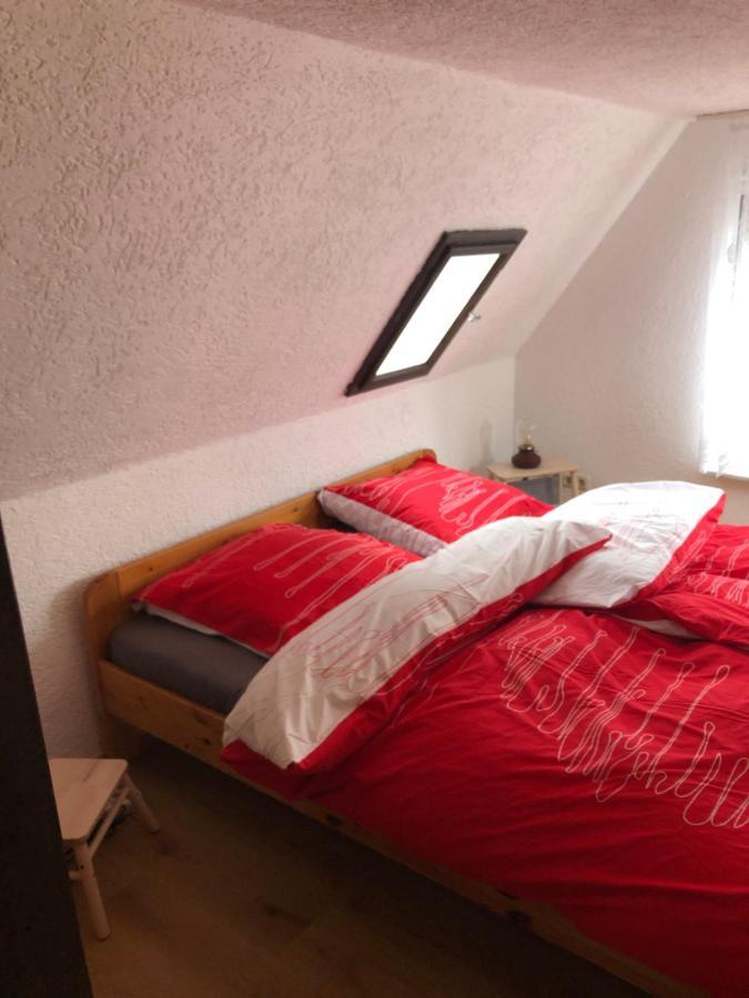 Ferienhaus Zentral & Gruen Leipzig Eksteriør billede